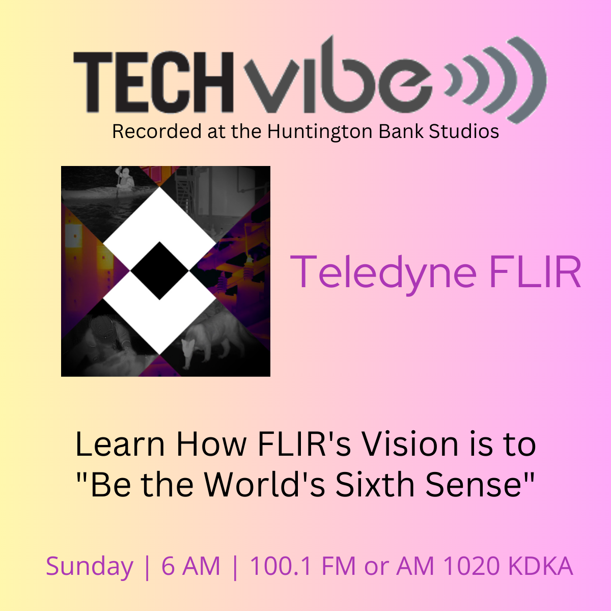 FLIR / TechVibe Radio