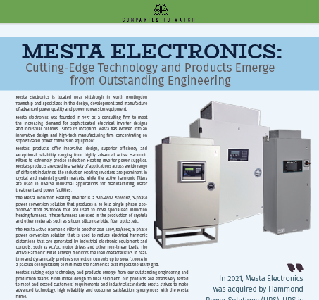 Mesta: Cutting-Edge Technology and Products Emerge from Outstanding ...