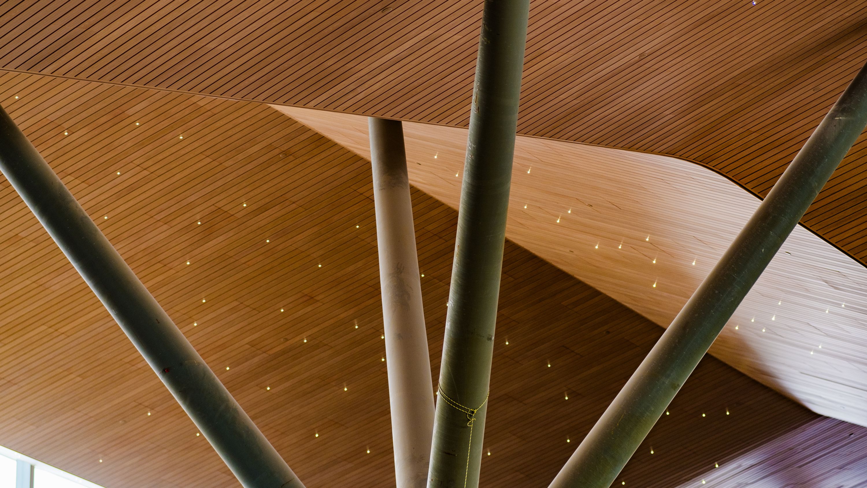 New architecture at the terminal is inspired by nature.